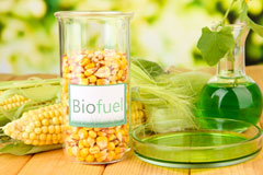 Norton biofuel availability